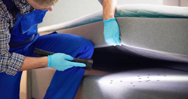 Best Ant Control Services  in Tullytown, PA