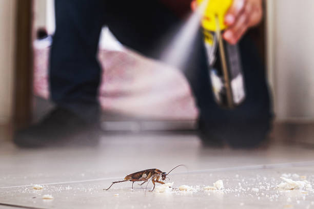 Reliable Tullytown, PA Pest Control Solutions
