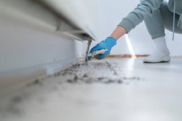 Best Emergency Pest Control  in Tullytown, PA